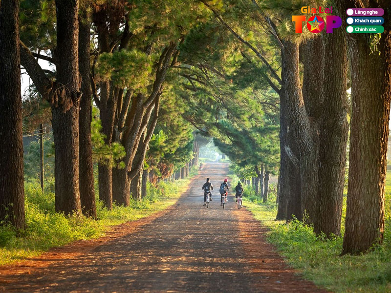 Nhung-bai-hat-ve-gia-lai-nghe-mot-lan-la-nho-2-gialaitoplist