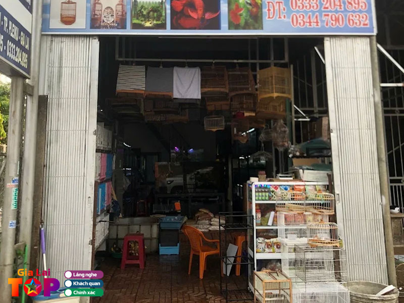 Ca-canh-thanh-phat-gialaitoplist
