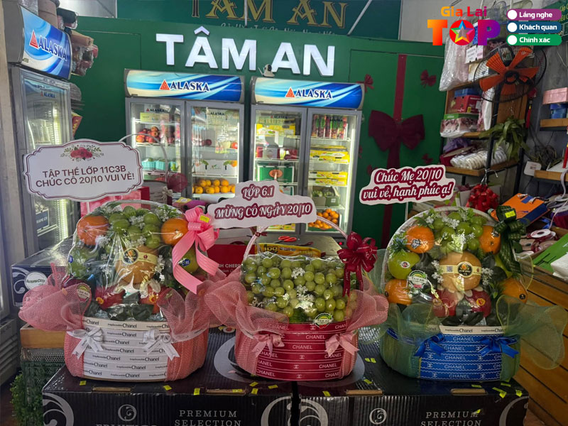 Trai-cay-sach-tam-an-gialaitoplist